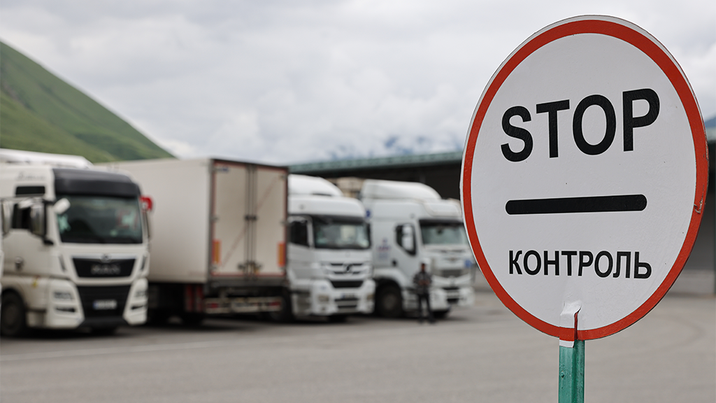 Елена Афонина / ТАСС