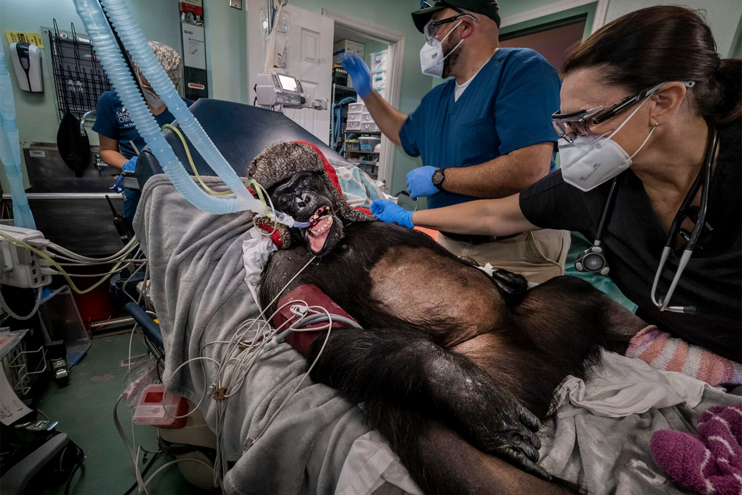 Победитель в номинации «Фотожурналистика».