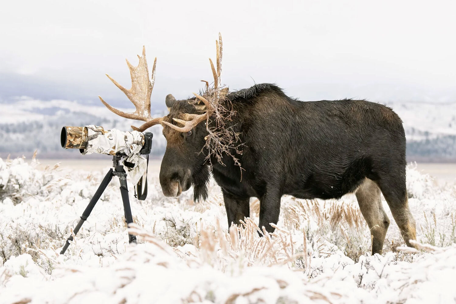 Победитель в номинации «Люди и природа».