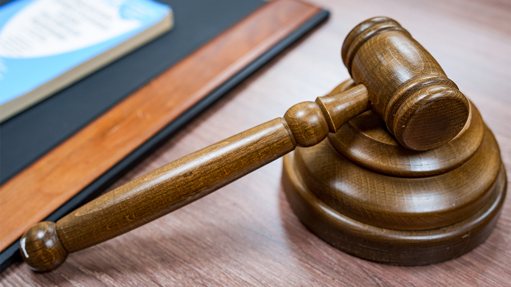 Олеся Чепурченко / ТАСС