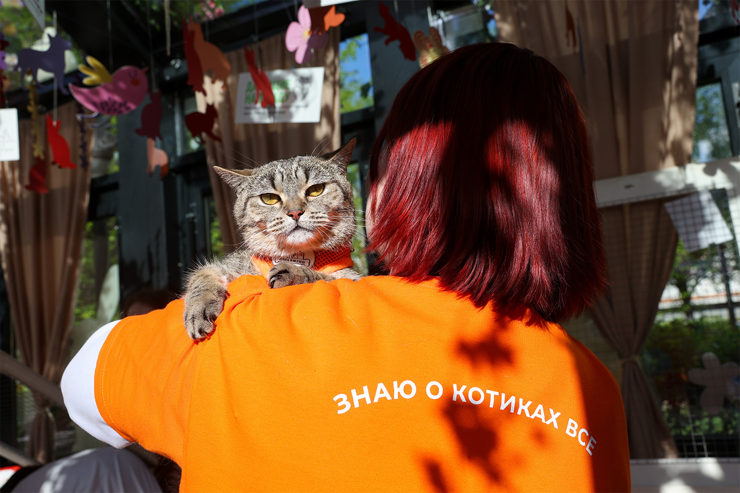 Благотворительный фестиваль в Москве.