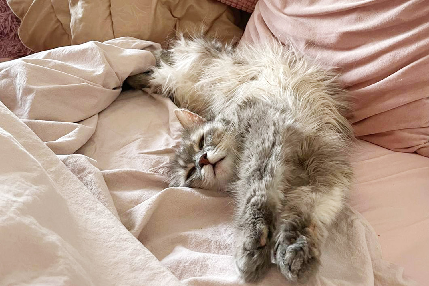 Моника, 18 лет. 