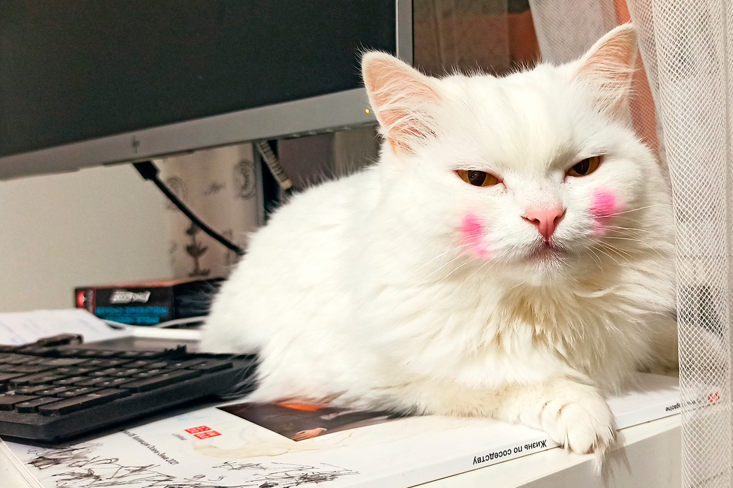 Шуша (Шушера), «русская подъездная».