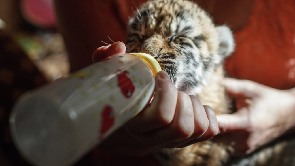 Михаил Мокрушин / РИА Новости