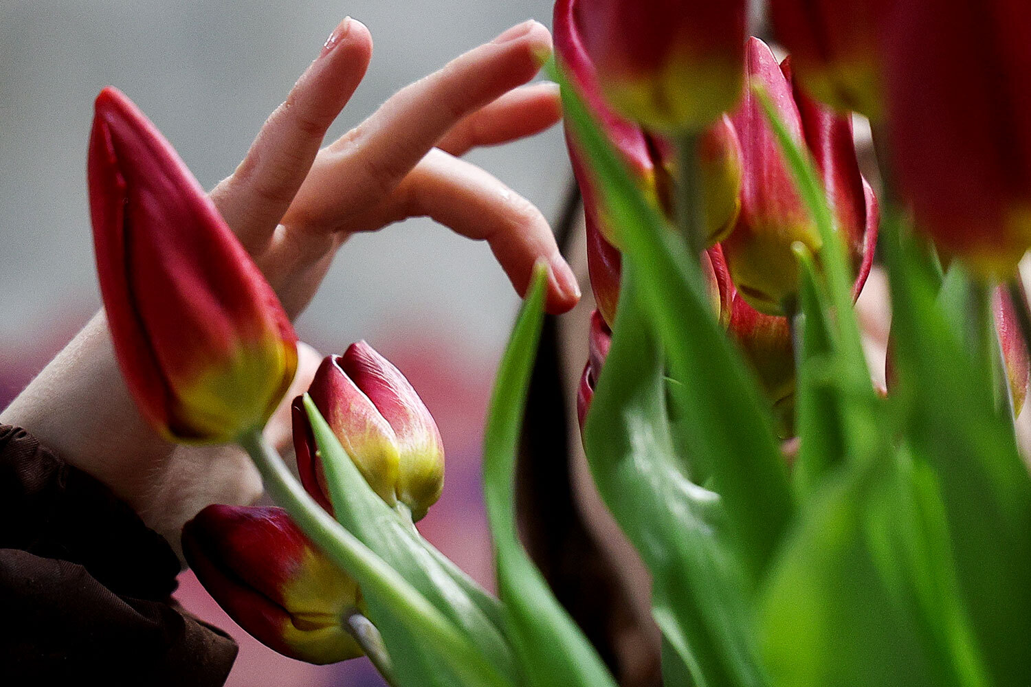 6 марта 2026 г. Продажа цветов  в преддверии  8 Марта в Казани. 