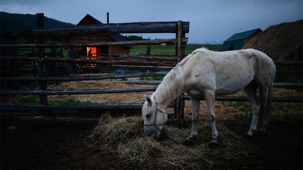 Александр Кряжев / РИА Новости