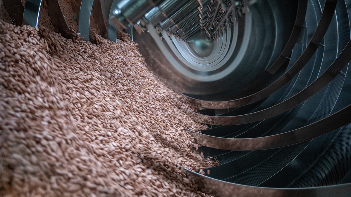 КС решил давний спор об условиях выдачи принудительной лицензии