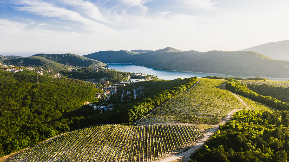 «Тристория»