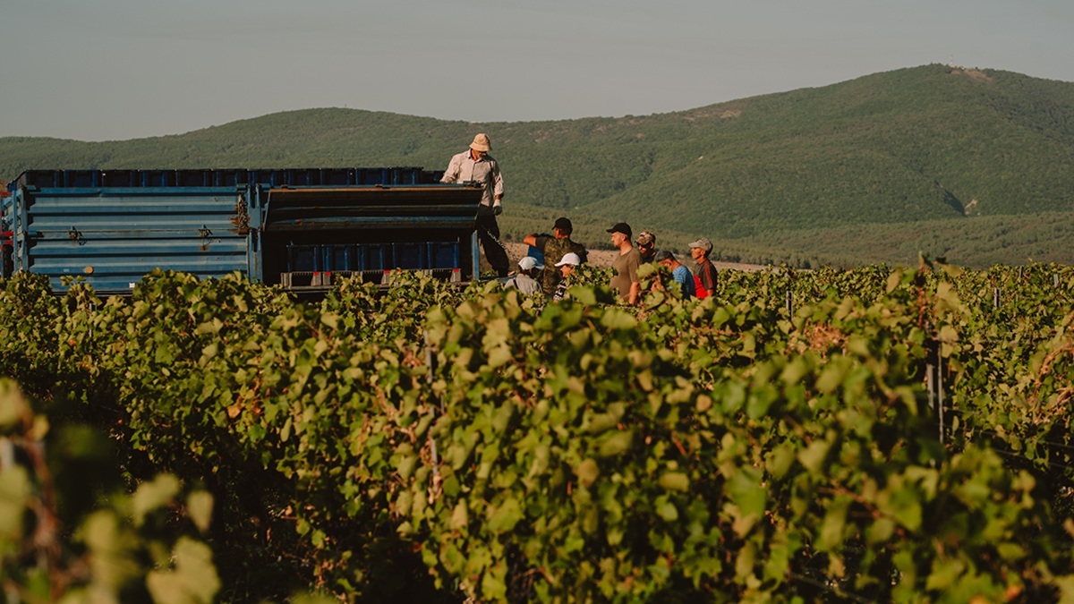 «Тристория»