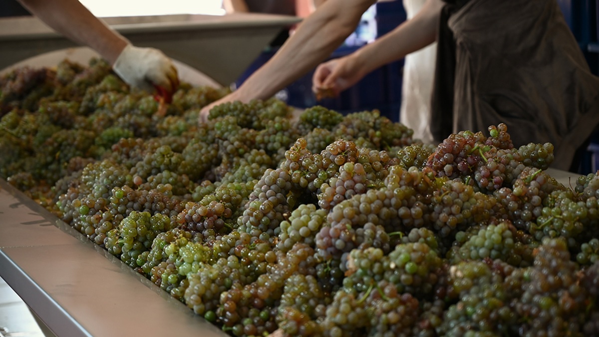 «Тристория»