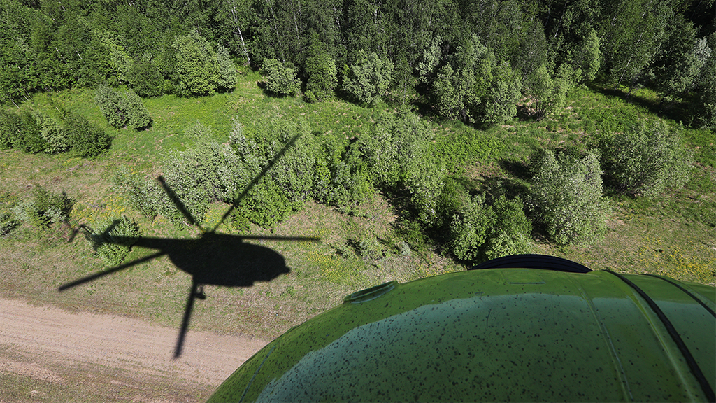 Андрей Гордеев / Ведомости