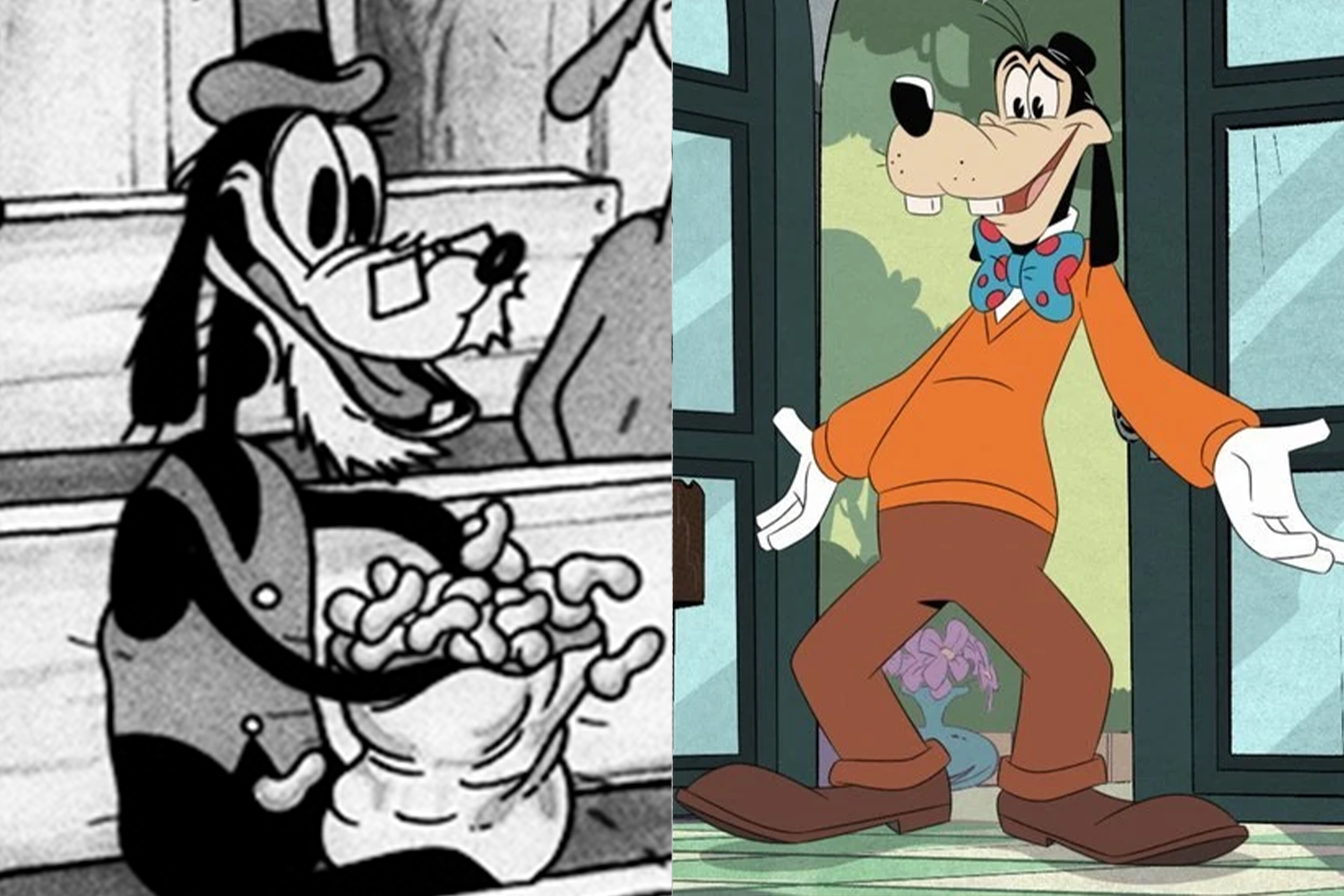 Гуфи не сразу надел штаны. Пес впервые появился в мультфильме «Ревью Микки» 1932 г. В то время чудаковатого персонажа звали Диппи Доуг (на фото слева). Он носил очки, а вот фирменные рабочие штаны мультипликаторы еще не придумали. Правда, некоторые вещи неизменны. Гуфи помогает проводить ироничные анимационные ликбезы: «Как играть в бейсбол» (1942), «Как стать моряком» (1944), «Как быстро разбогатеть» (1951), «Как подключить домашний кинотеатр» (2007) и др. Во время пандемии пес помог разобраться с правилами самоизоляции: «Как сидеть дома» (2021).