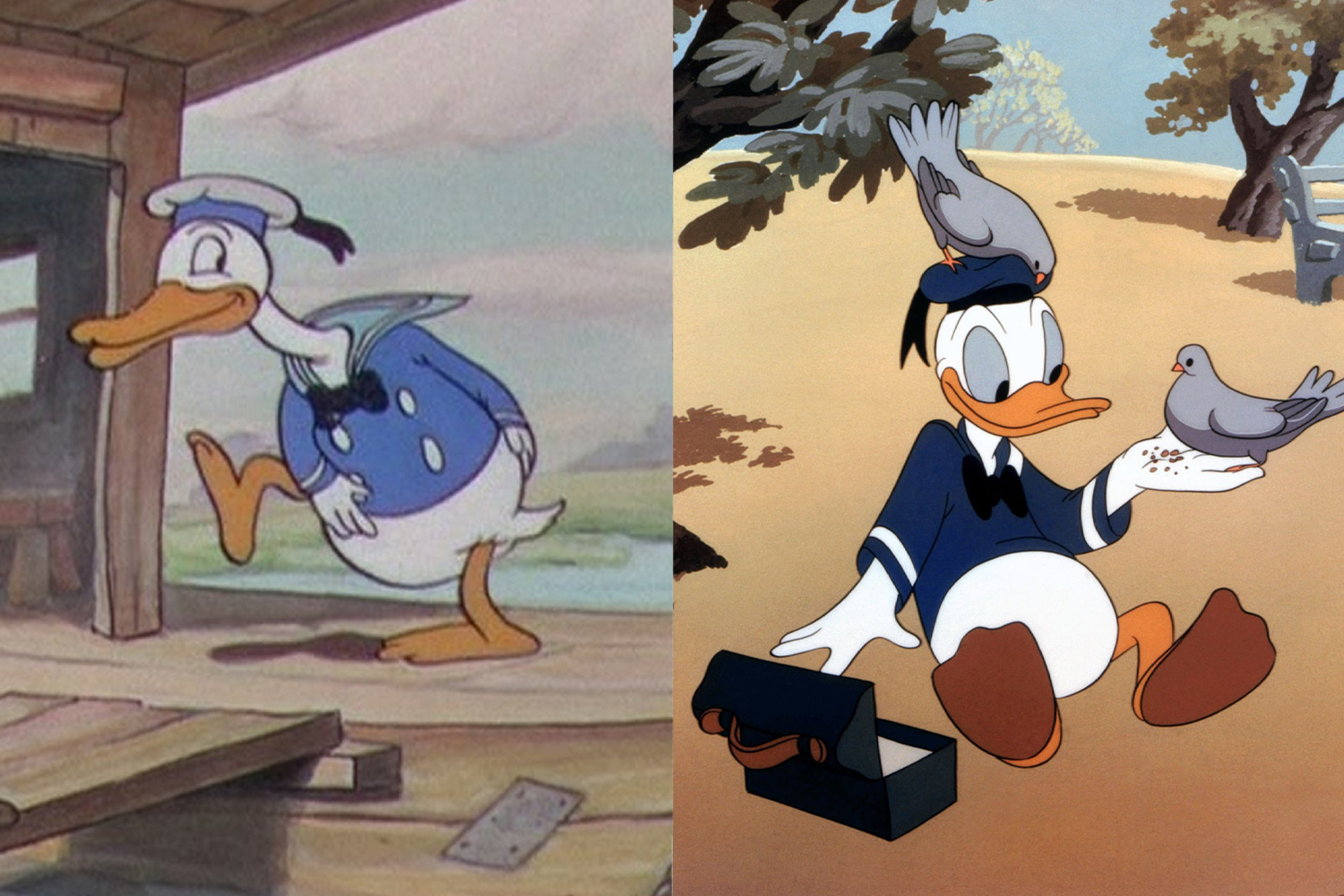Дональд Дак поработал над клювом. Селезень впервые предстал перед зрителями в мультфильме «Маленькая мудрая курочка» 1934 г. Изначально он считался отрицательным героем. Из-за этого мультипликаторы не стремились сделать его симпатичным (на фото слева). В итоге нынешний Дональд Дак (на фото справа) стал стройней, получил более изящные ласты и клюв. Но неизменными остались наличие матроски и неважные манеры.