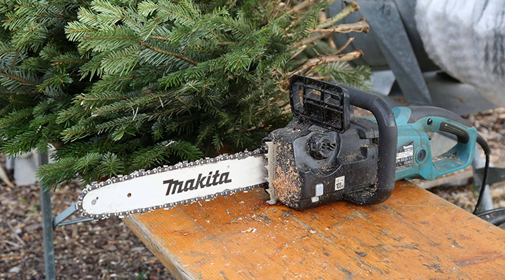 Daniel Scharinger / TASS