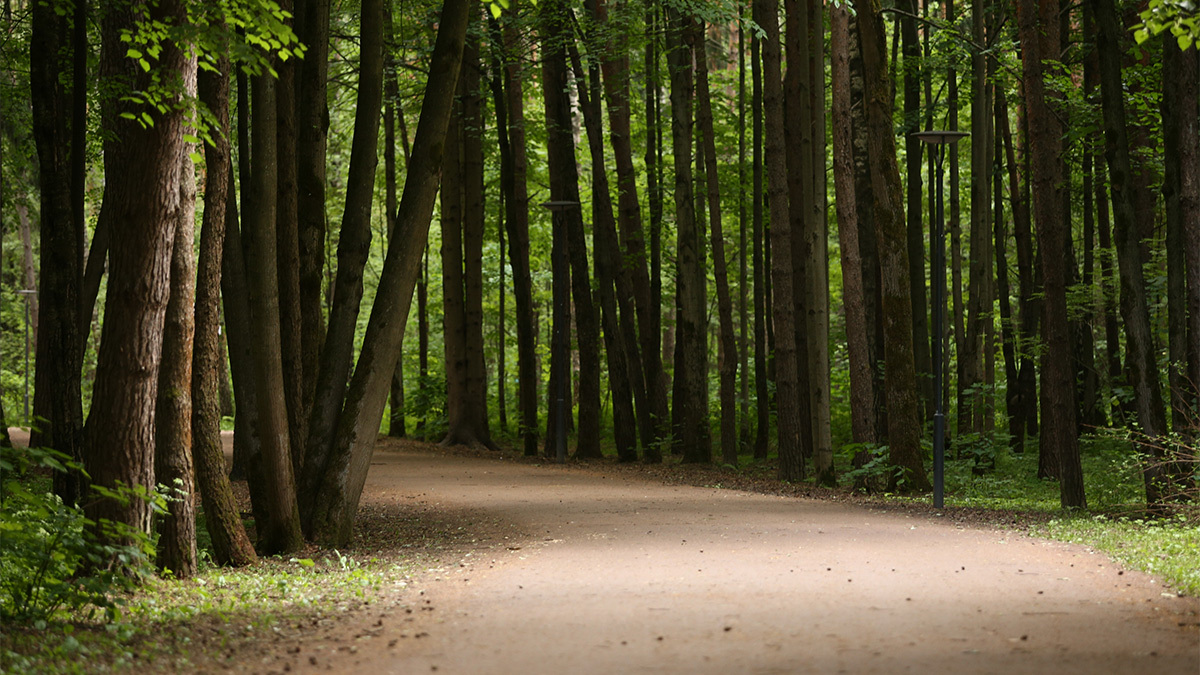 Андрей Гордеев / Ведомости