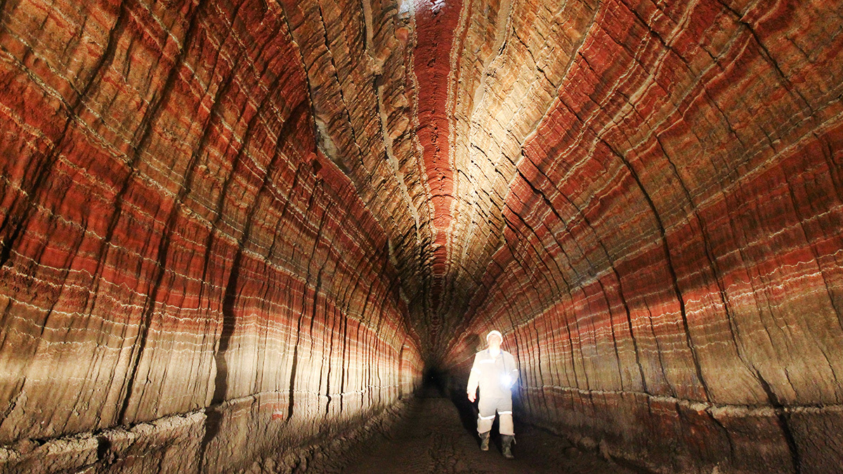 Спецпосланник США Джон Коул выменял у Александра Лукашенко заключенных на исключение из санкционного списка «Беларуськалия»