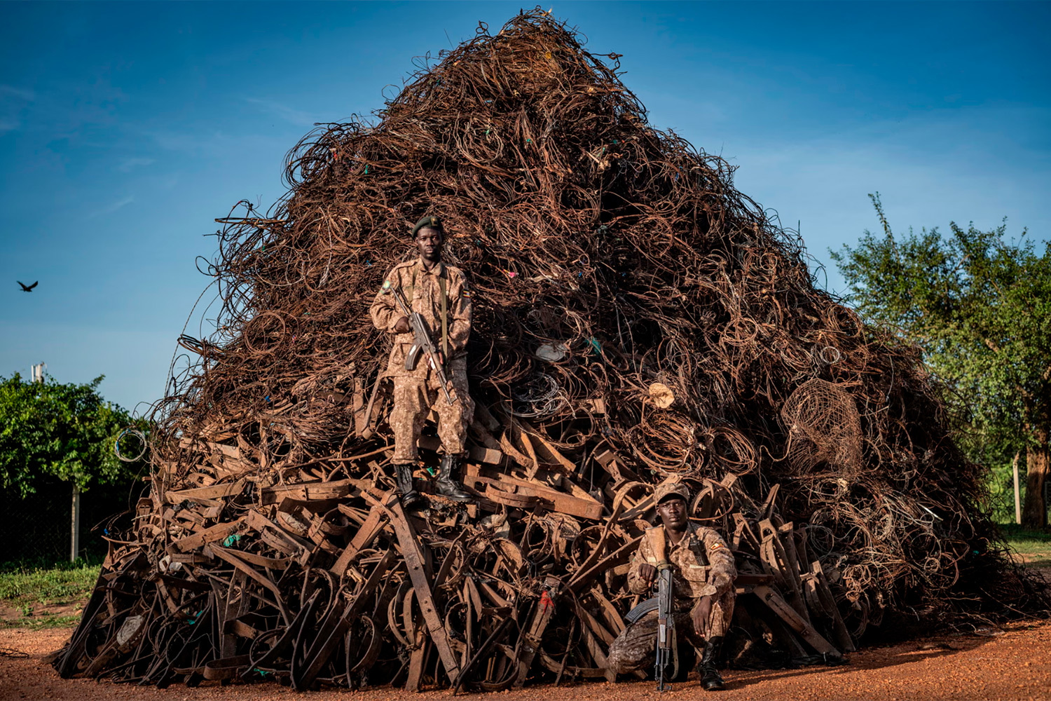 «Портрет вымирания», Адам Освелл, Австралия (шорт-лист).Егеря из Уганды позируют перед грудой капканов, изъятых за год в национальном парке Мурчисон‑Фолс.