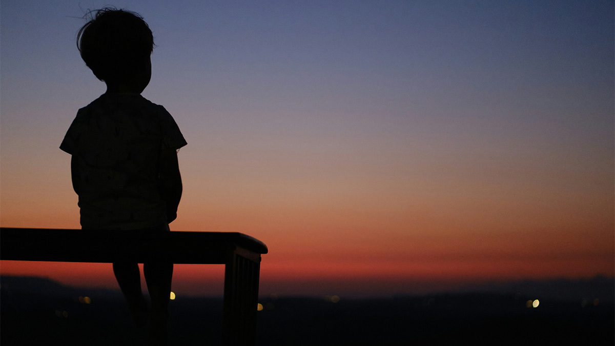 Adrian Schledorn / Unsplash