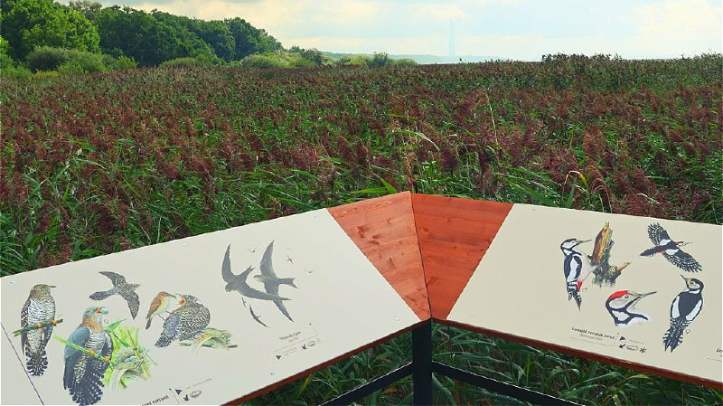 Виктор Иванов, «Путешествуйте по Карельскому перешейку!»