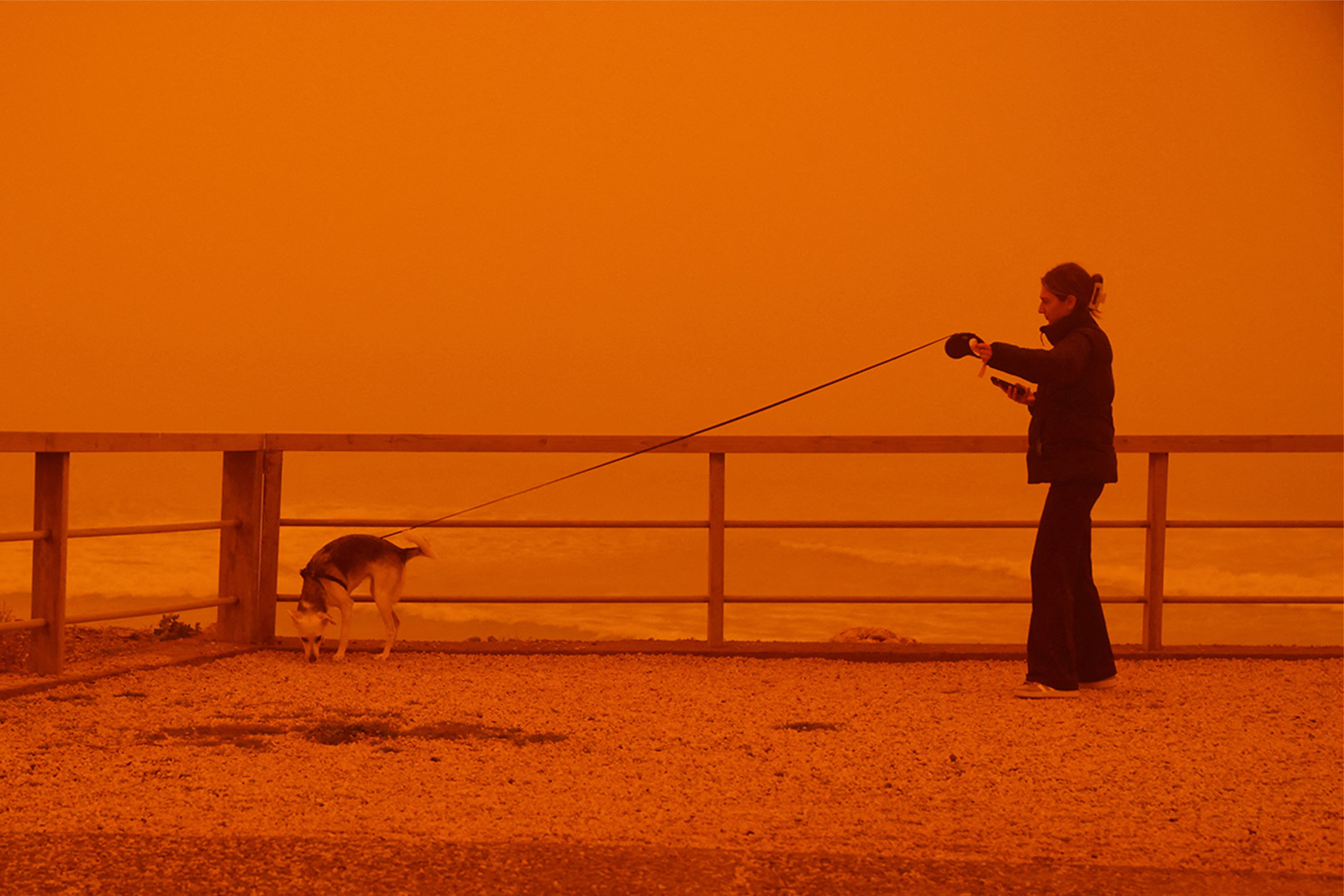 Как отмечает Daily Mail, 1 апреля из-за густой африканской пыли, резко снизившей видимость, самолеты не могли ни взлететь, ни приземлиться в аэропорту Ираклиона.