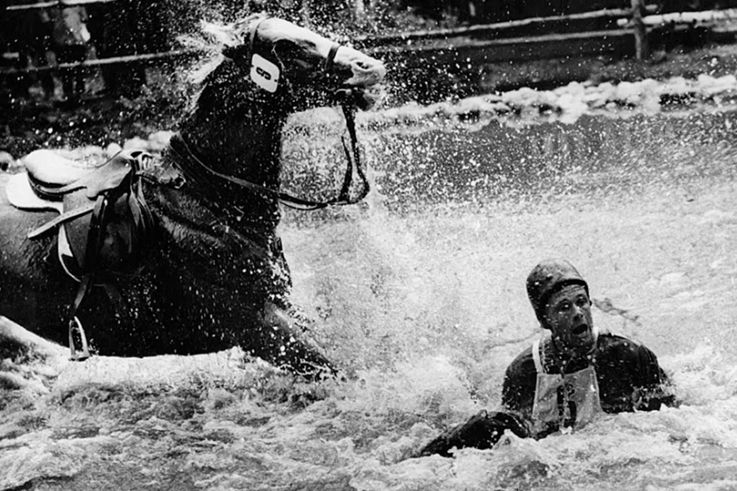 На Играх 1956 г. в Мельбурне произошел конный скандал: из-за австралийских карантинных правил соревнования по конному спорту пришлось провести в Стокгольме (на фото) за несколько месяцев до основной Олимпиады.