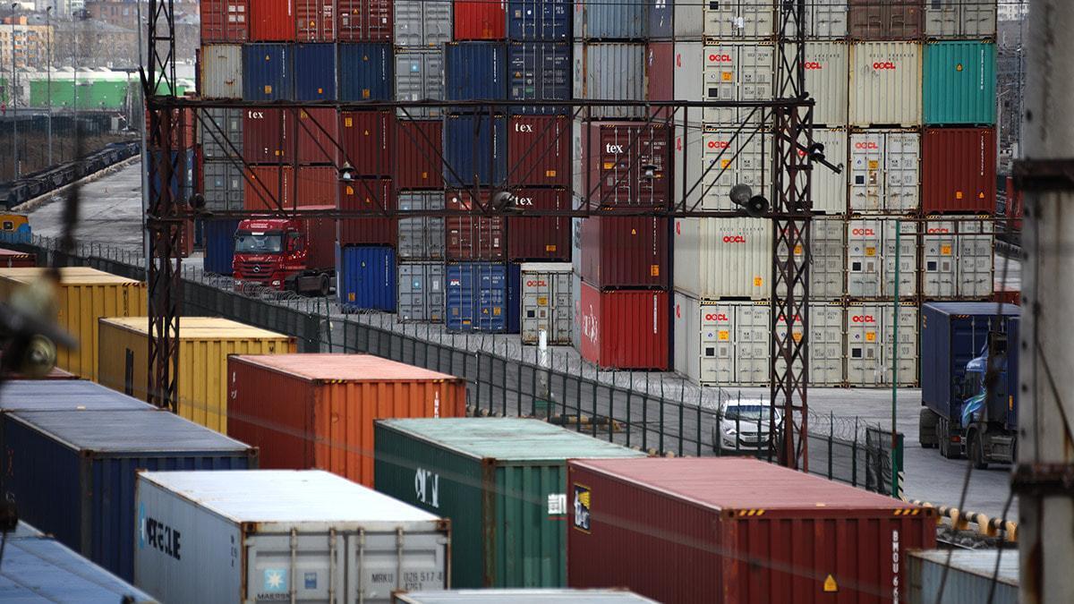 Объемы импорта животноводческой продукции из Петербурга и Ленобласти остаются стабильными третий год подряд