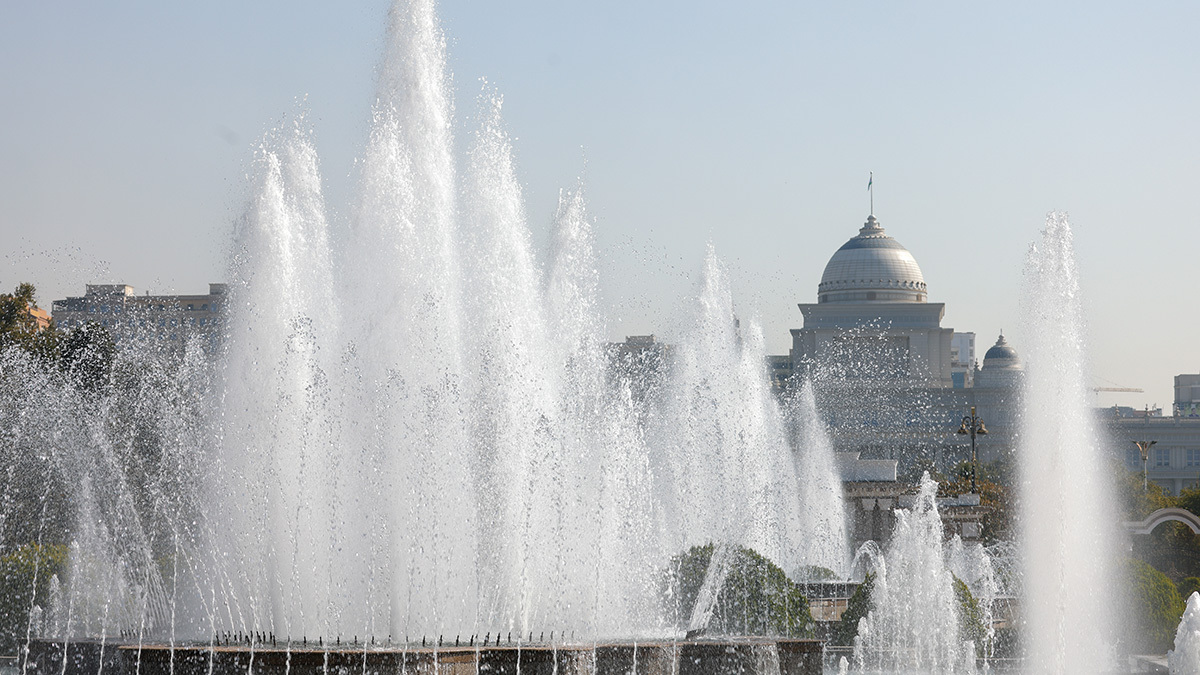 Максим Стулов / Ведомости