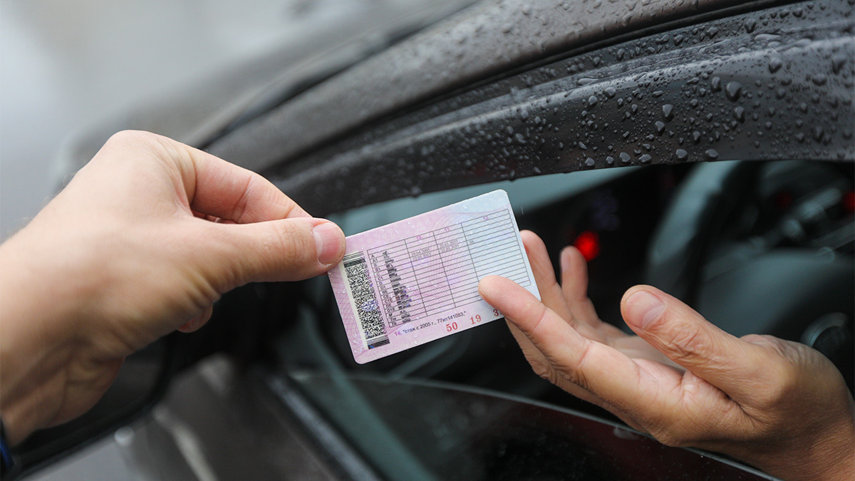 Максим Стулов / Ведомости