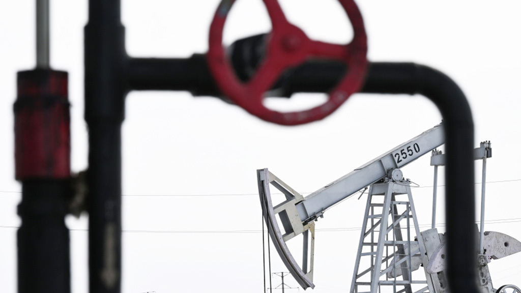 Максим Богодвид / РИА Новости