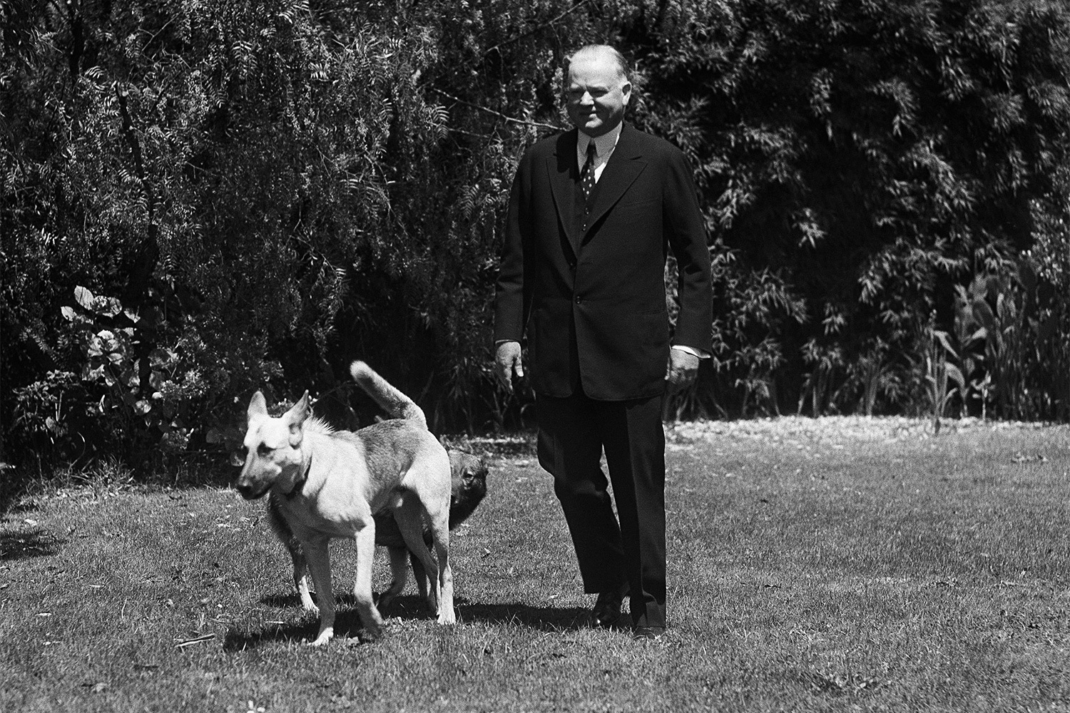 Минюст внес Стэнфордский университет в реестр организаций, деятельность которых признана нежелательной на территории России. Кто из известных персон учился в калифорнийском вузе – в галерее «Ведомостей».31-й президент США Герберт Гувер поступил в Стэнфорд в 1891 г. – через шесть лет после его основания. Он изучал сразу две специальности – машиностроение и геологию.