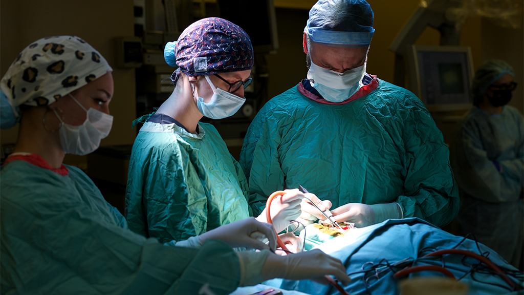 Александр Щербак / ТАСС