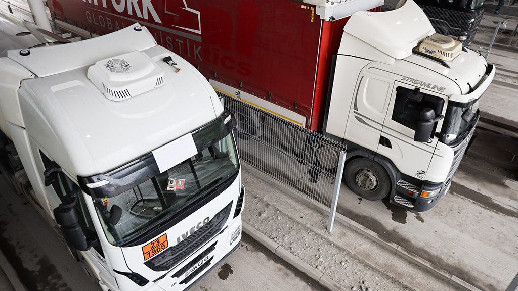 Елена Афонина / ТАСС