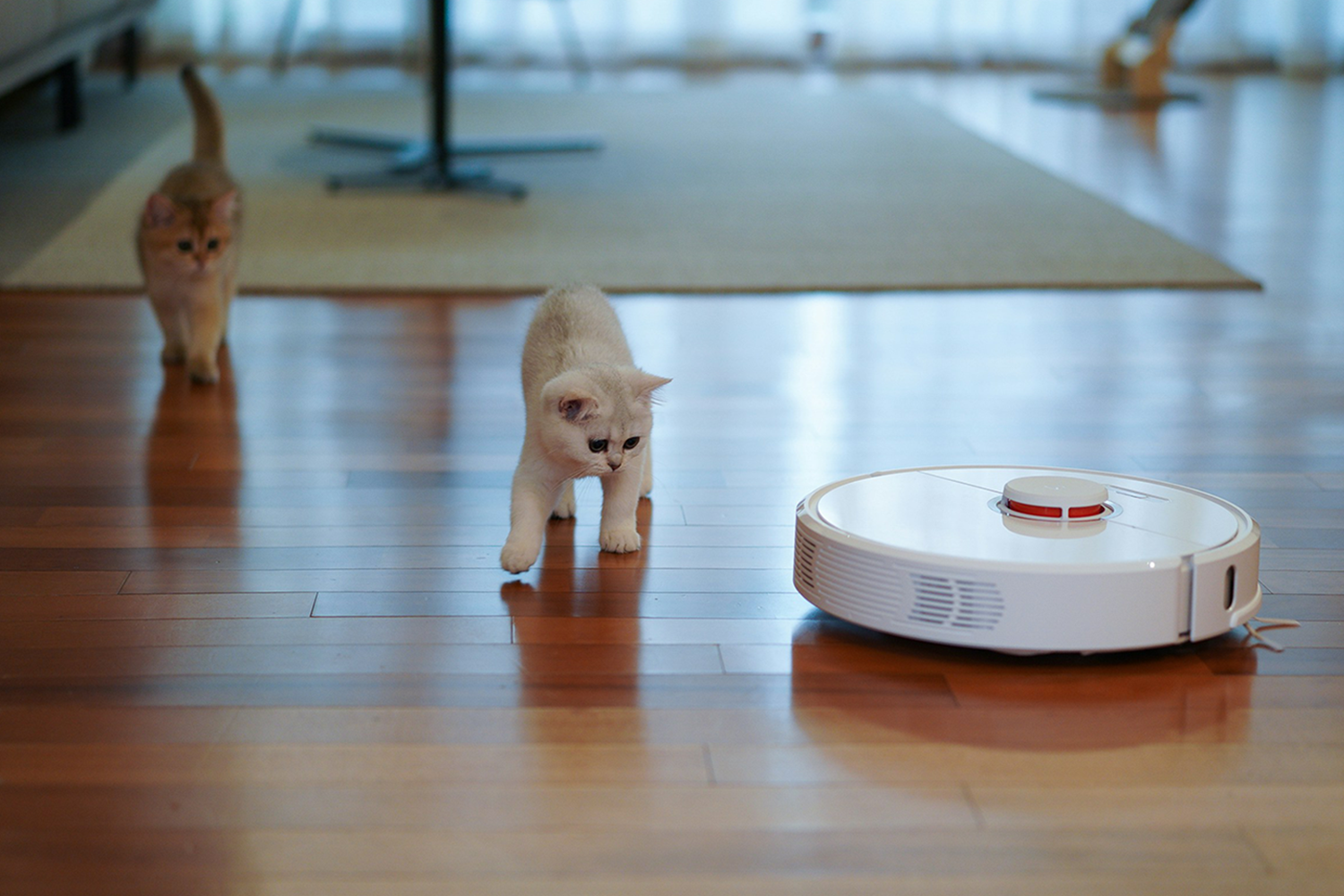 Беспроводные пылесосы. Во время подготовки к первой лунной миссии руководство NASA заказало частной компании Black&amp;Decker гаджет для забора образцов грунта со спутника Земли. В итоге в 1979 г. предприятие запустило первый массовый автономный пылесос с использованием вполне себе космической технологии.