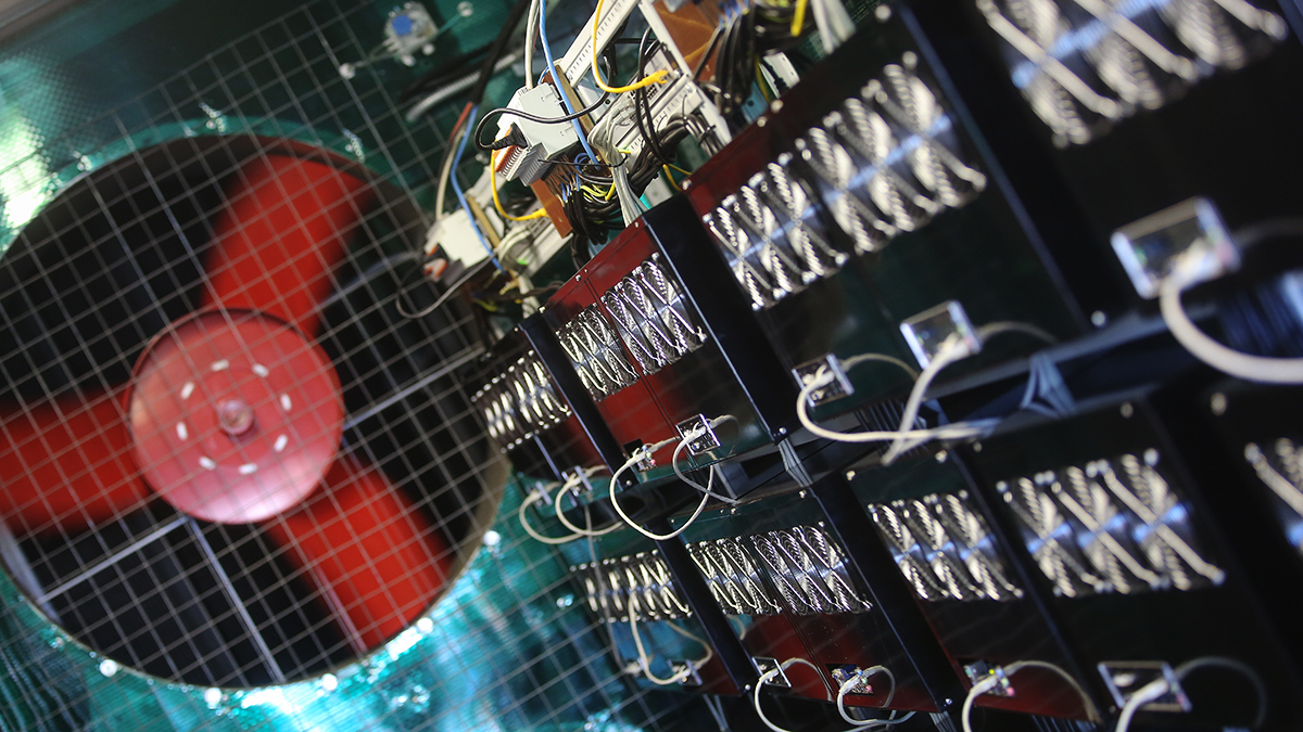 Максим Стулов / Ведомости