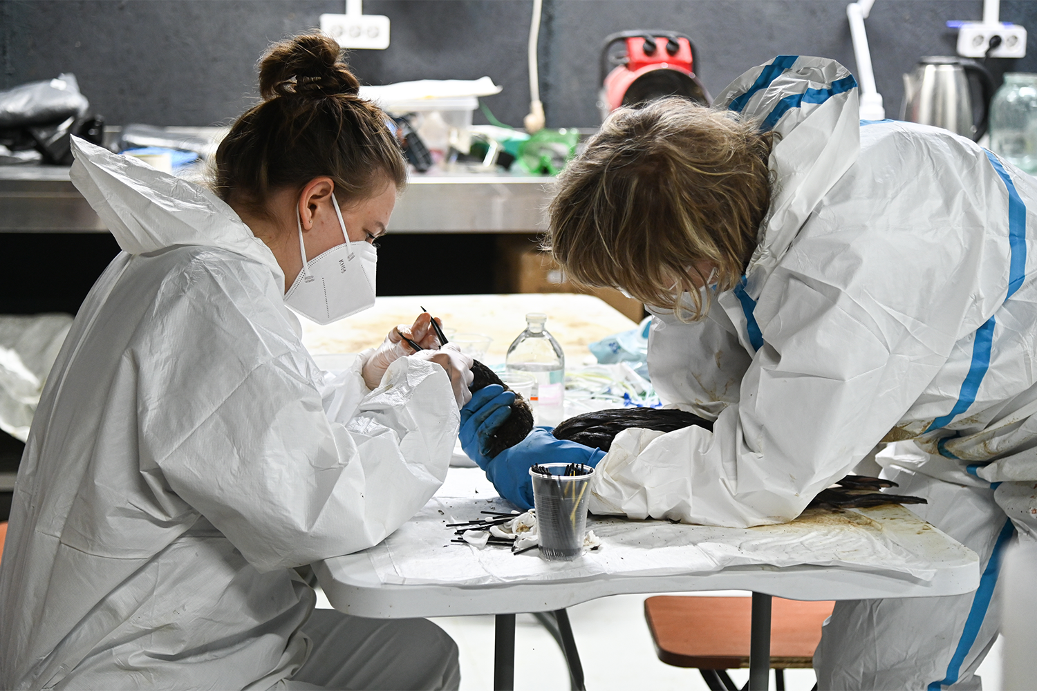 По версии оперштаба Краснодарского края, пятно из нефтепродуктов могло образоваться в результате атак дронов на гражданские суда в акватории Черного и Азовского морей.