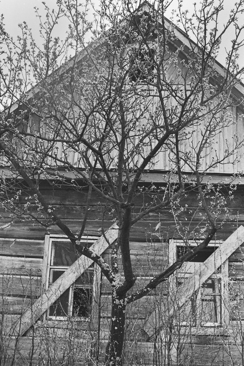 Вадим Денисов / РИА Новости