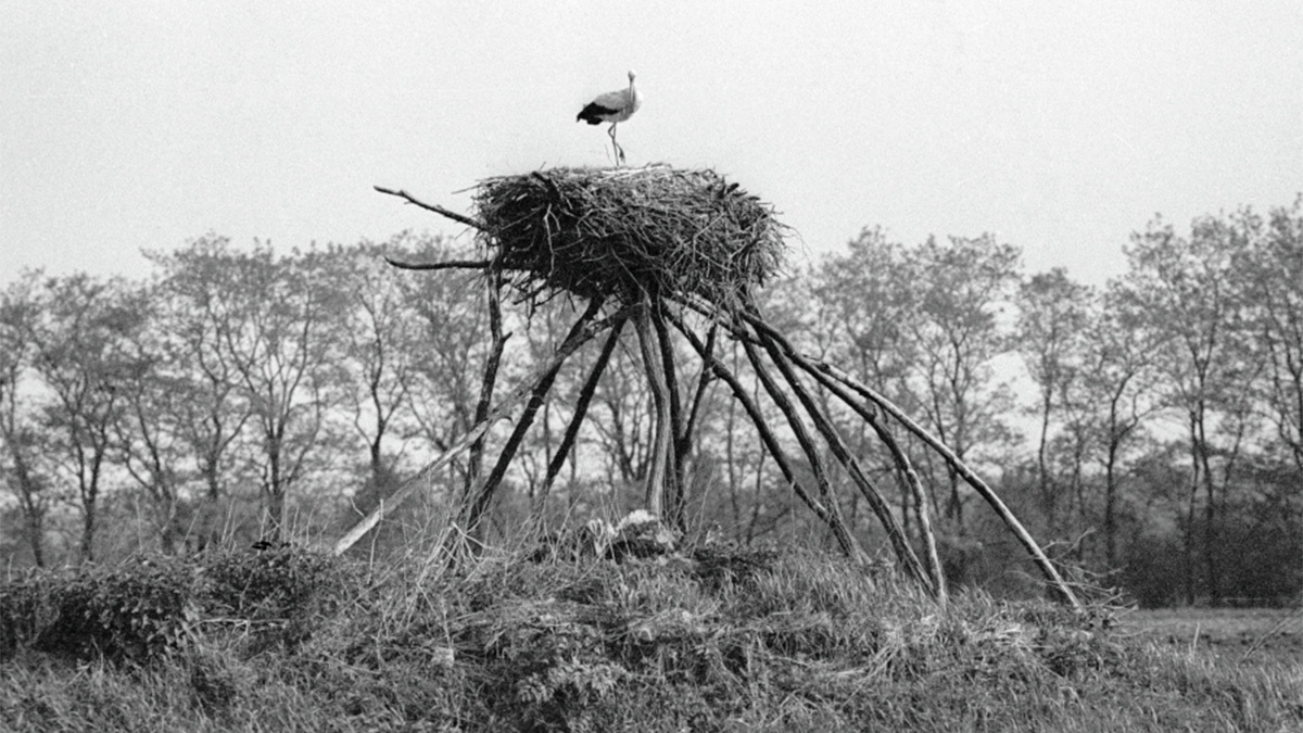 Вадим Денисов / РИА Новости