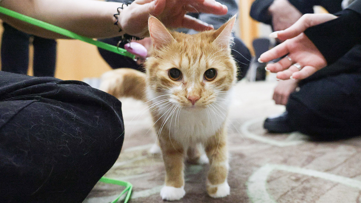 Максим Стулов / Ведомости