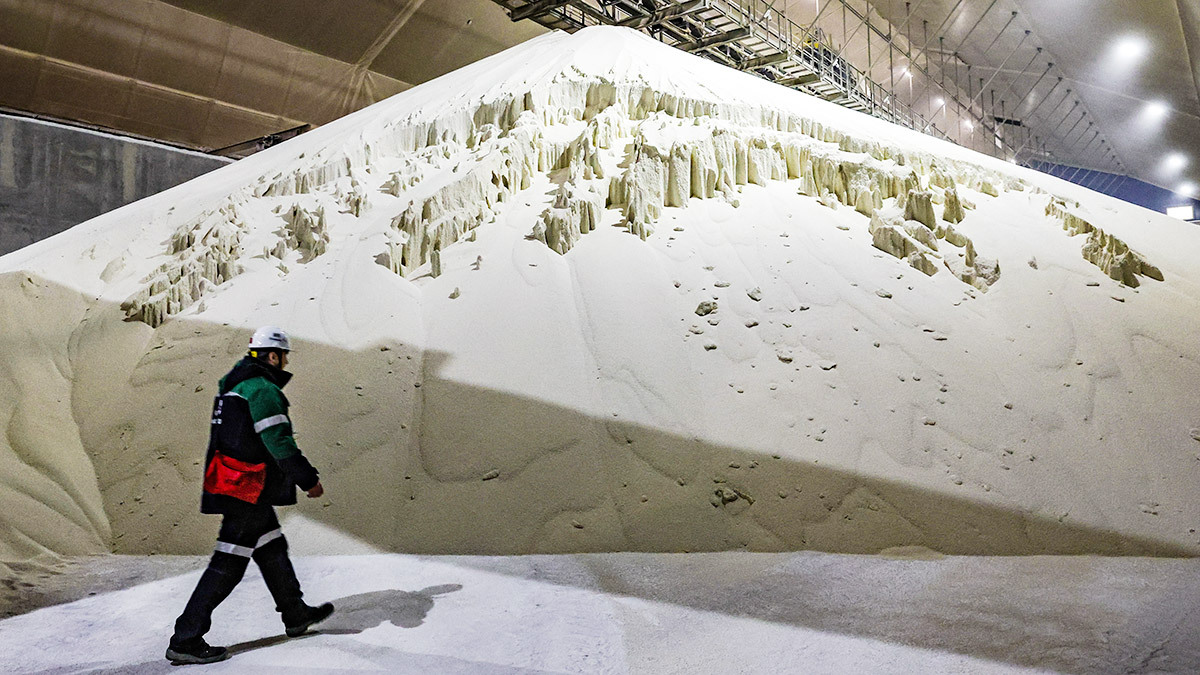 Петр Ковалев / ТАСС