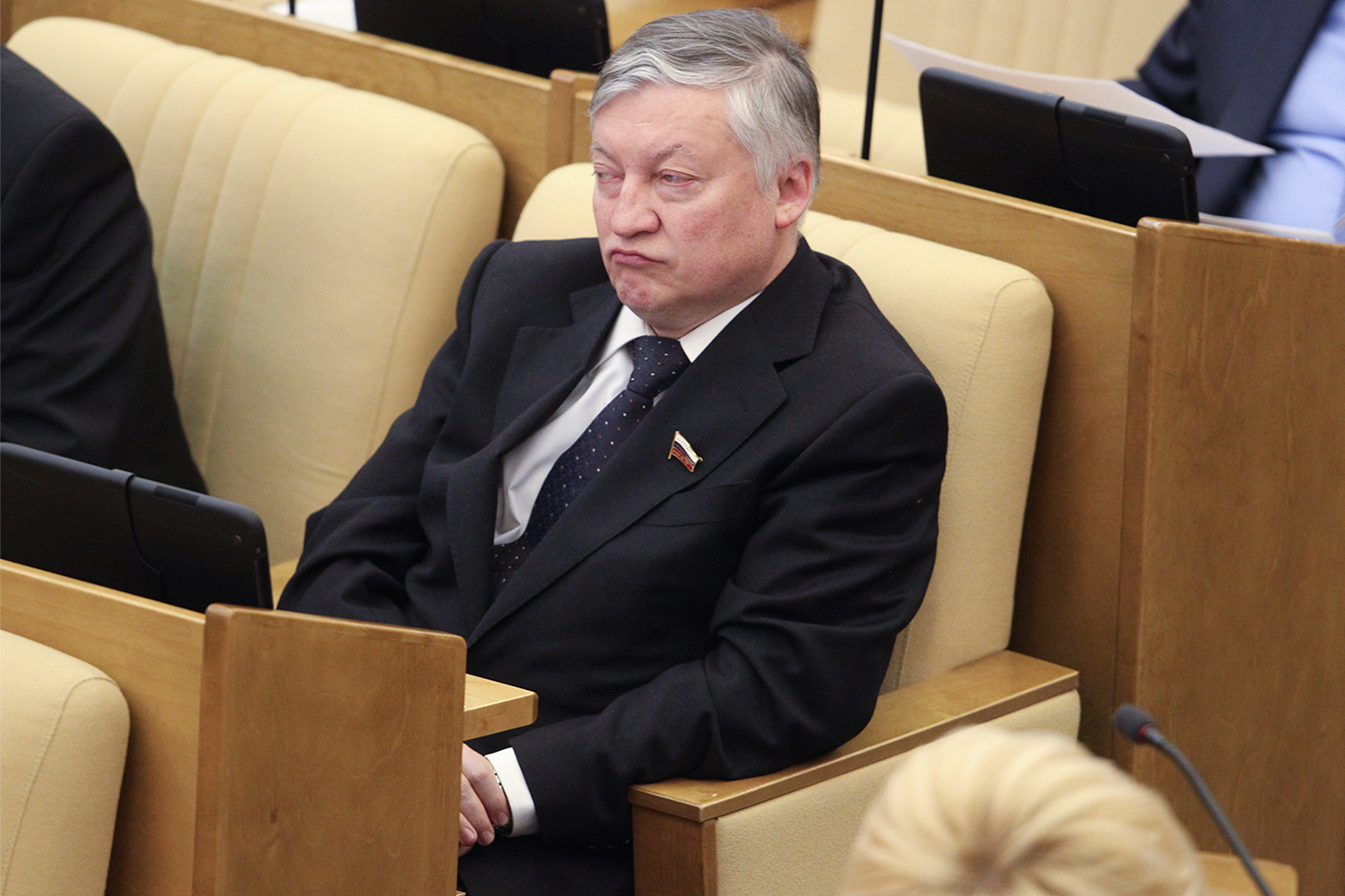 Карпов участвовал в выборах в Госдуму РФ в 1995-м и довыборах в 1997 г. Но оба раза безуспешно. После поражения шахматист продолжал заниматься общественной деятельностью: в 1998 г. был назначен послом Детского фонда ООН (ЮНИСЕФ) в России, СНГ и Восточной Европе, в 2005 г. возглавил Международный комитет по наградам и премиям при ООН, а в 2006-2008 гг. стал членом Общественной палаты России. Занимался Карпов и бизнесом: весной 1999 г. он основал газодобывающую компанию «Петромир», а также входил в правление нескольких банков. В 2011 г. Карпов вновь баллотировался в Госдуму, пройдя по списку «Единой России» от Тюменской области.&nbsp;