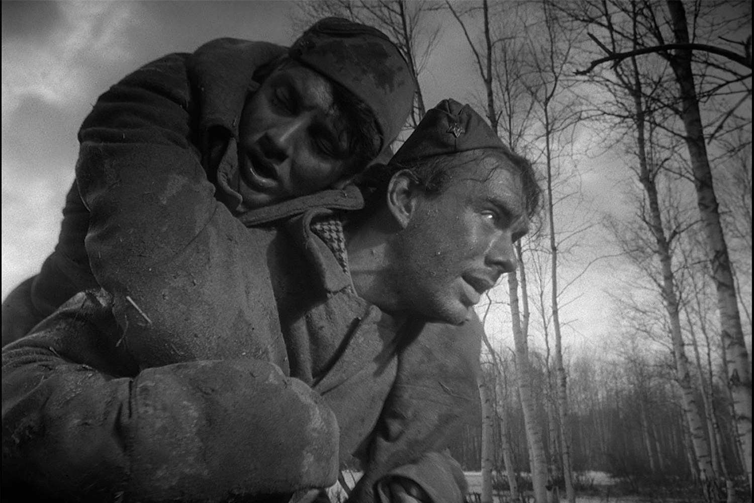 Фильм Михаила Калатозова «Летят журавли» (1957), удостоенный «Золотой пальмовой ветви» Каннского кинофестиваля, стал экранизацией пьесы фронтовика Виктора Розова «Вечно живые», написанной им еще во время войны. История начинается в мирное время: счастливые главные герои, Борис (Алексей Баталов) и Вероника (Татьяна Самойлова), гуляют по утренней Москве. Но вскоре их жизнь кардинально меняется – в нее врывается война, и Борис уходит добровольцем на фронт. Особенно пронзительно выглядят сцены проводов новобранцев: в суматохе влюбленные не могут найти друг друга, чтобы попрощаться. 