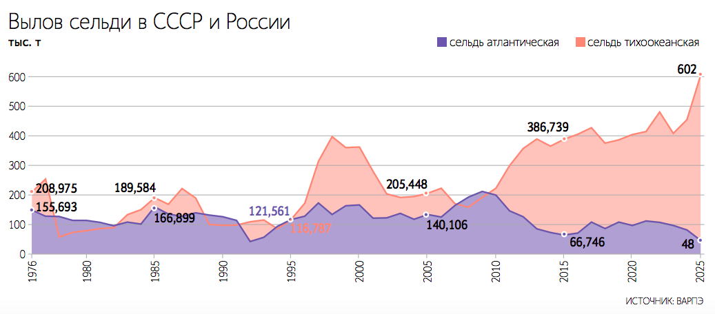 Для российских промысловиков хороший улов и рентабельность бизнеса сильно связаны с проблемами переработки рыбы, а также логистики и ее стоимости