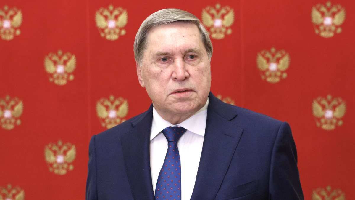 Максим Стулов / Ведомости