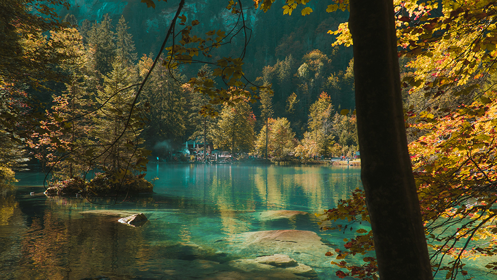Nils Lindner / Unsplash