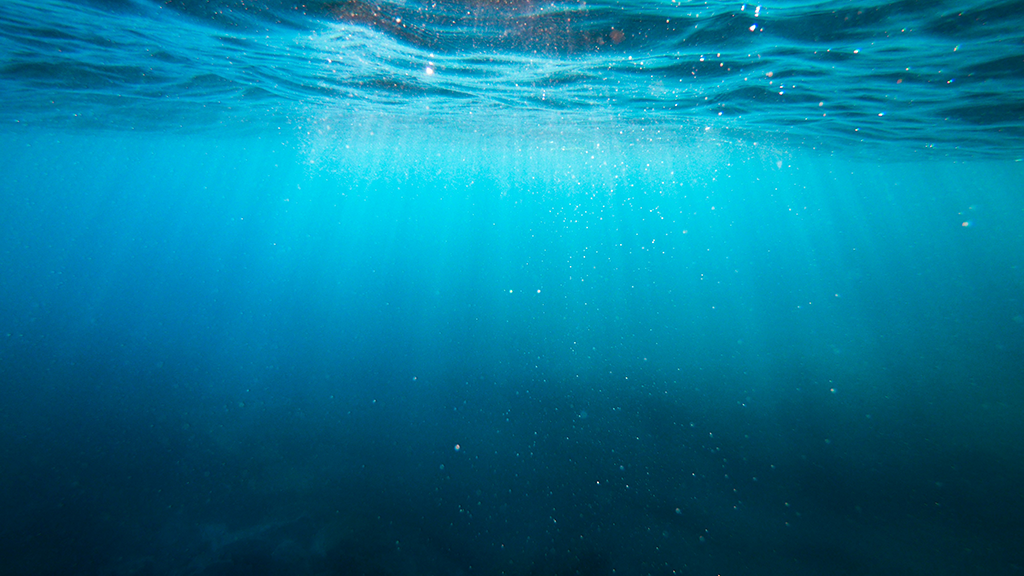 Unsplash
