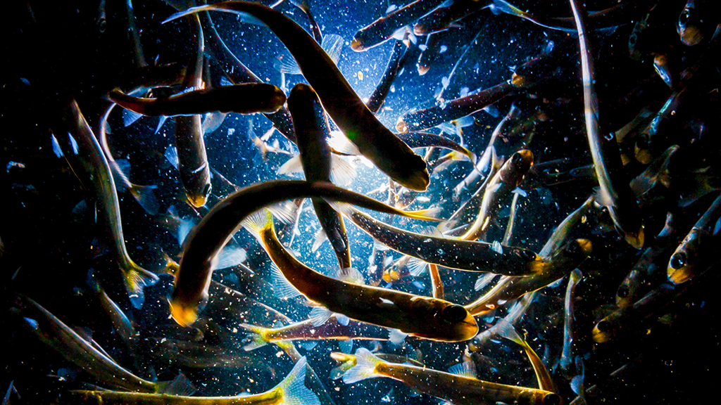 Юрий Смитюк / ТАСС