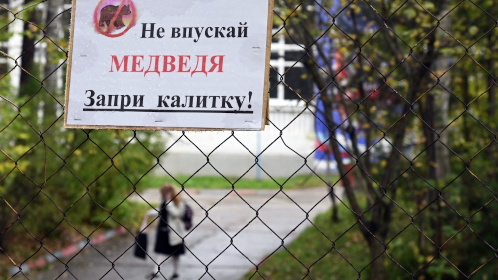 Илья Наймушин / РИА Новости