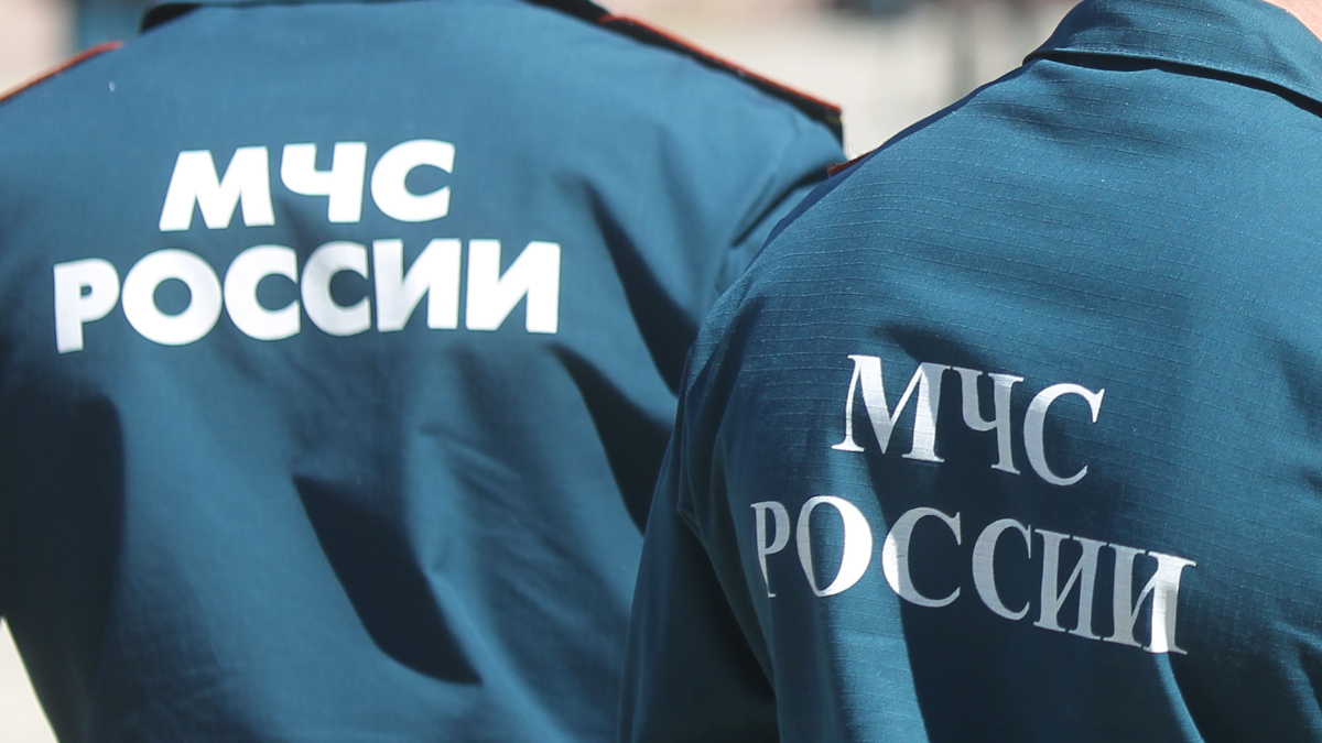Максим Стулов / Ведомости