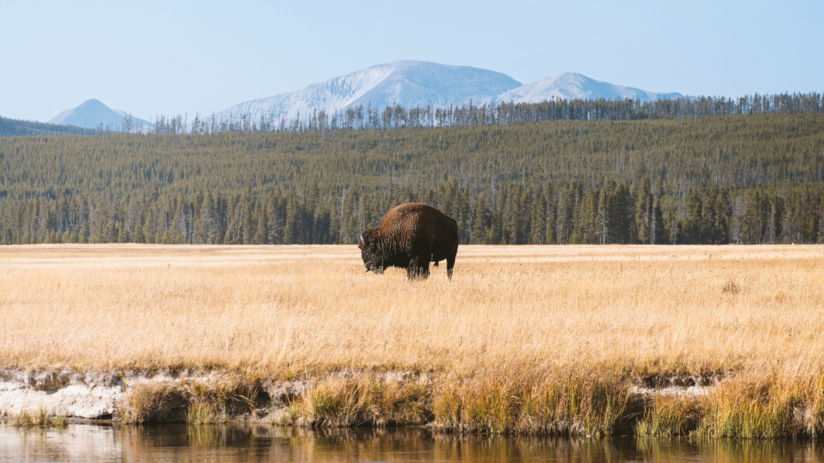 Steven Cordes / Unsplash
