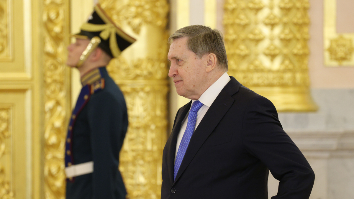 Максим Стулов / Ведомости